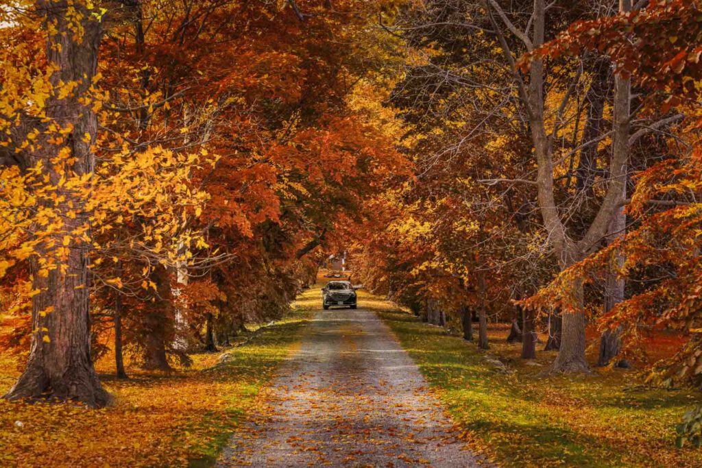 Best Day Trips from Toronto for 2025: Top 24 Escapes